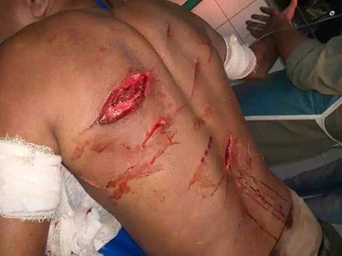 received_263351874617838