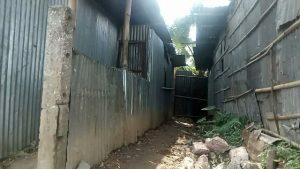 20190407_141311_rmedited