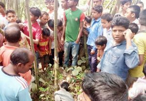 56910130_714786118924008_2584647572828192768_n