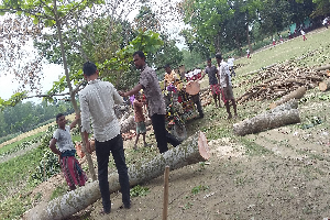 57019513_2629288363753545_4707973777839882240_n