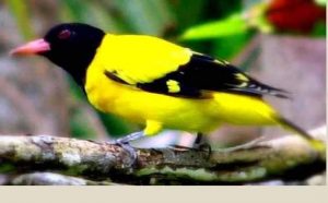 FB_IMG_1555602641141