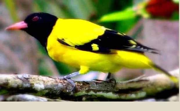 FB_IMG_1555602641141