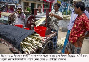 Gaibandha PHOTO-01 (7)