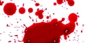 IMG_20190403_224258_crop_300x150