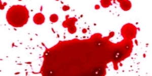 IMG_20190403_224258_crop_300x150