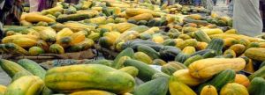 12-05-19-Manikgonj Melons Photo