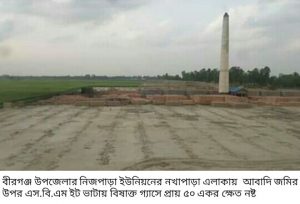 Logopit_1557051160818-1