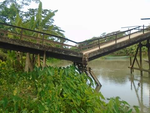 received_1037941503082321