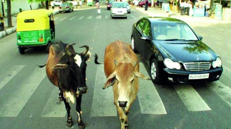 untitled-1-recovered_344