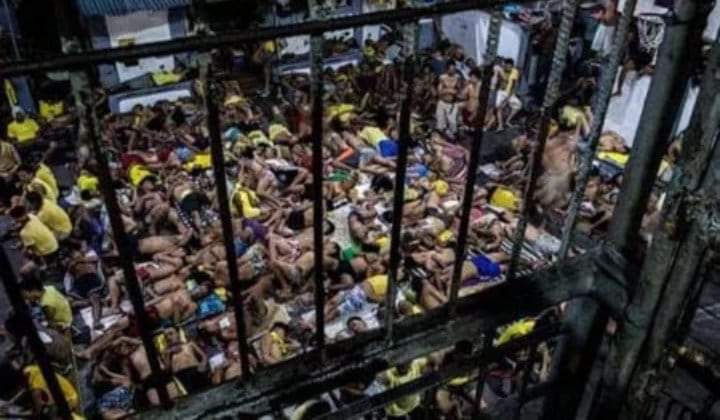 received_386435405302478