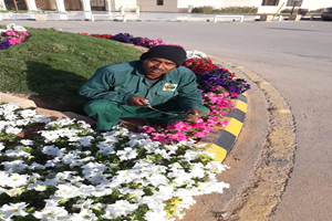 received_923472414654068