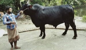 FB_IMG_1564240083846