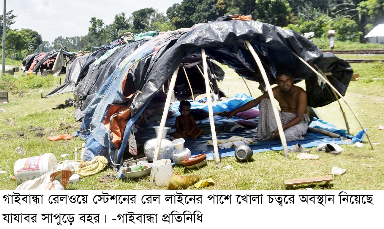 Gaibandha PIC-03 (3)