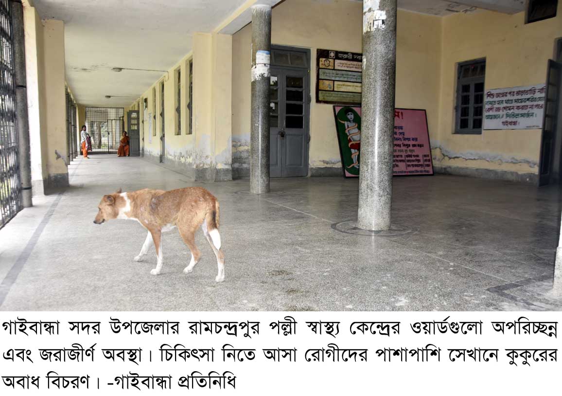 Gaibandha PIC-03 (6)