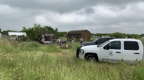 man-was-eaten-by-his-dogs