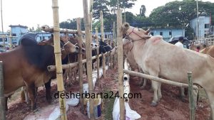 67808706_2346171872310239_5812451255393452032_n