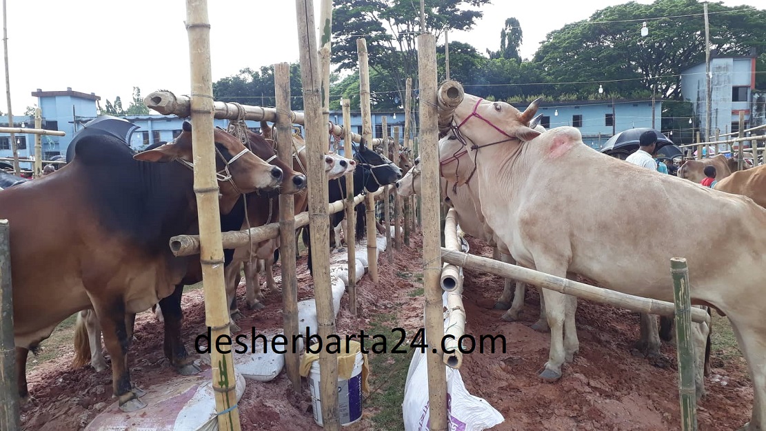 67808706_2346171872310239_5812451255393452032_n