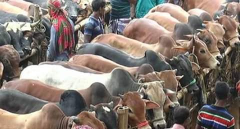 FB_IMG_1565288345321