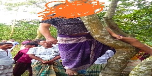 IMG_20190805_202001-300x150