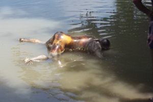 nagarpur photo (2) 18.08.19