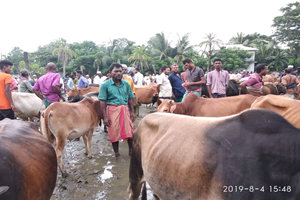 received_449015675955249