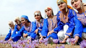 untitled-1-recovered-recovered_46