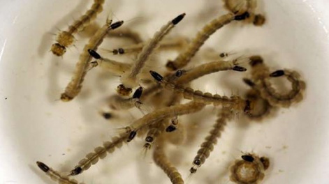 untitled-1-recovered_485