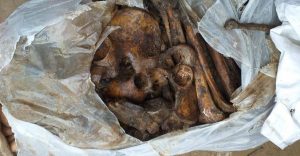 70405664_963988603951208_6548434334385176576_n