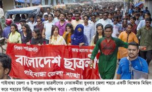 Gaibandha Pic-01 (29)