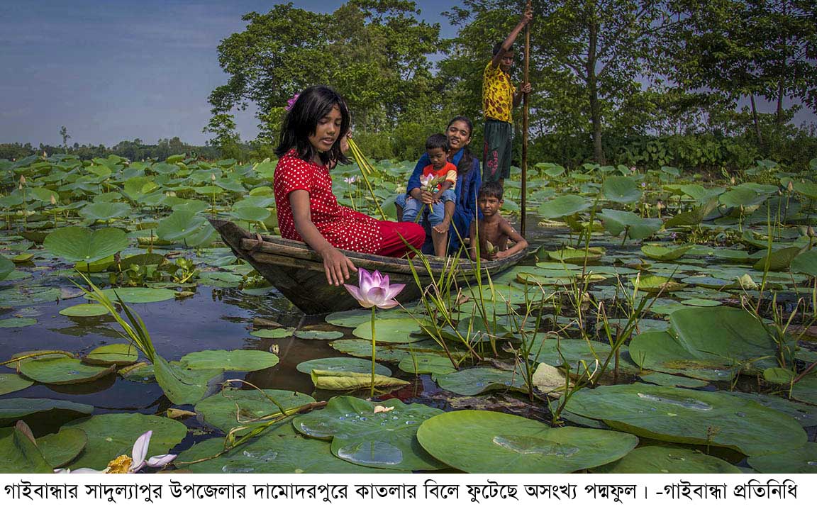 Gaibandha Pic-07