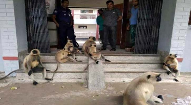 Kesobpur20190923013041