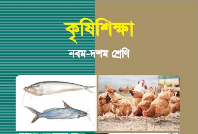 Screenshot_20190707_145306