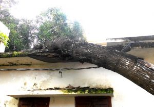 lWhy pn‡ 29-09-19 (2)