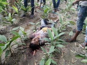 mader news palashbari