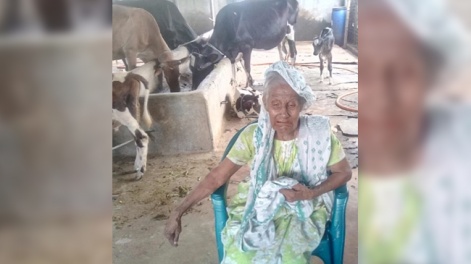 untitled-1-recovered_523