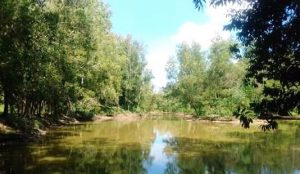 FB_IMG_15716568149068422