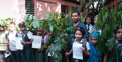 PIC Tree Gaiabndha (3)- 0