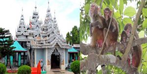 Rangamati Raj Bonobihaer Pic