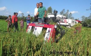 debiganj,harvesting