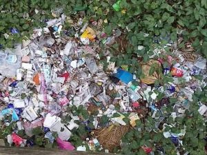 received_272693813614053