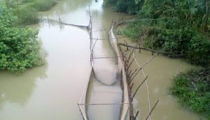 received_800072457076524