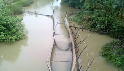 received_800072457076524