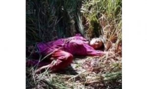 74906682_2465314543738348_8900695911319994368_n