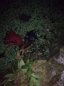 FB_IMG_1573136291189