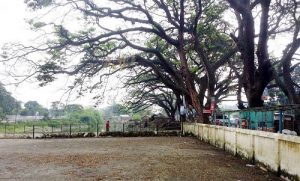 Gaibandha Pic-01 (69)