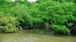 d2f81ca2-072a-4b19-afbb-4809ea9f9c3a