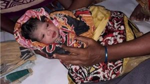 edited-bulbul-1573365031337