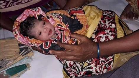 edited-bulbul-1573365031337