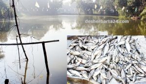 muradnagar comilla 29-11-19 pc