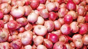 onion-market